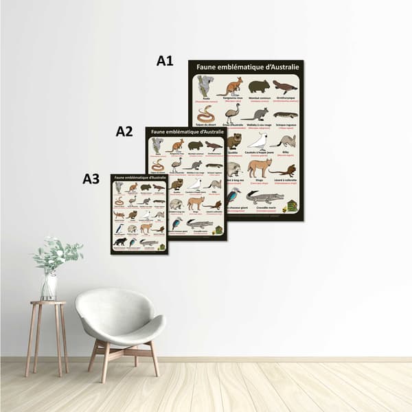 Image back Poster - Faune emblématique d'Australie