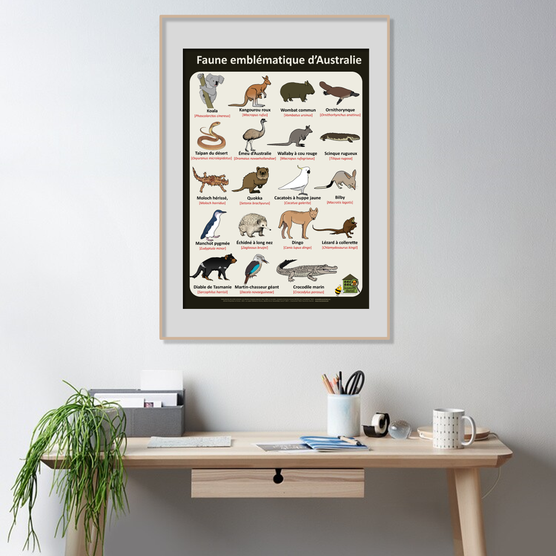 product_image_547506