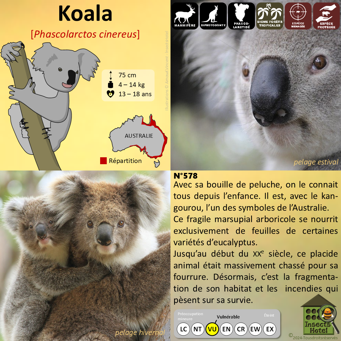 product_image_880262