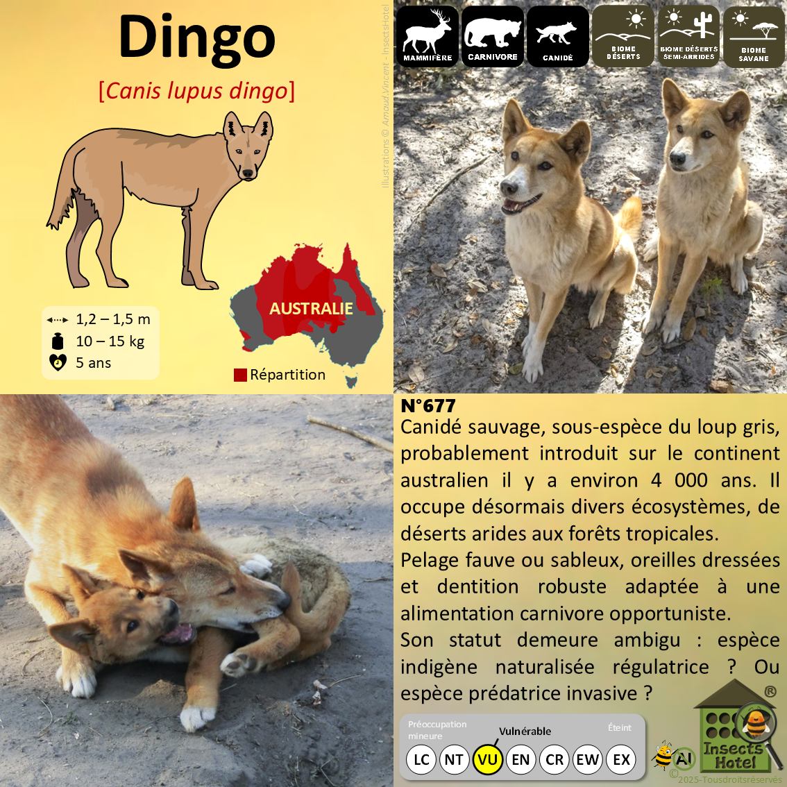 product_image_896544