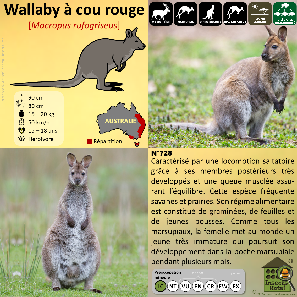 product_image_852995