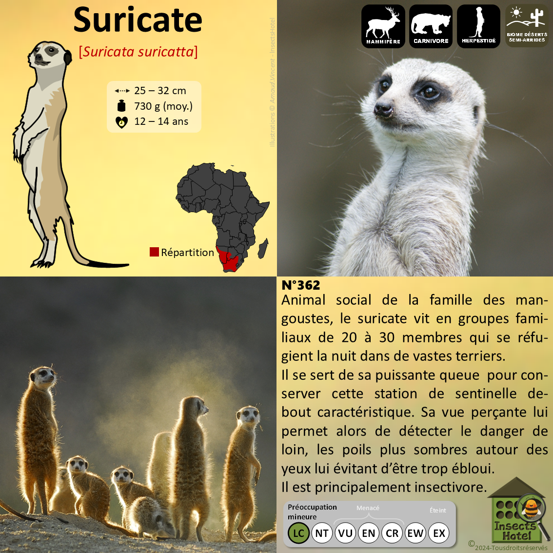 product_image_846548