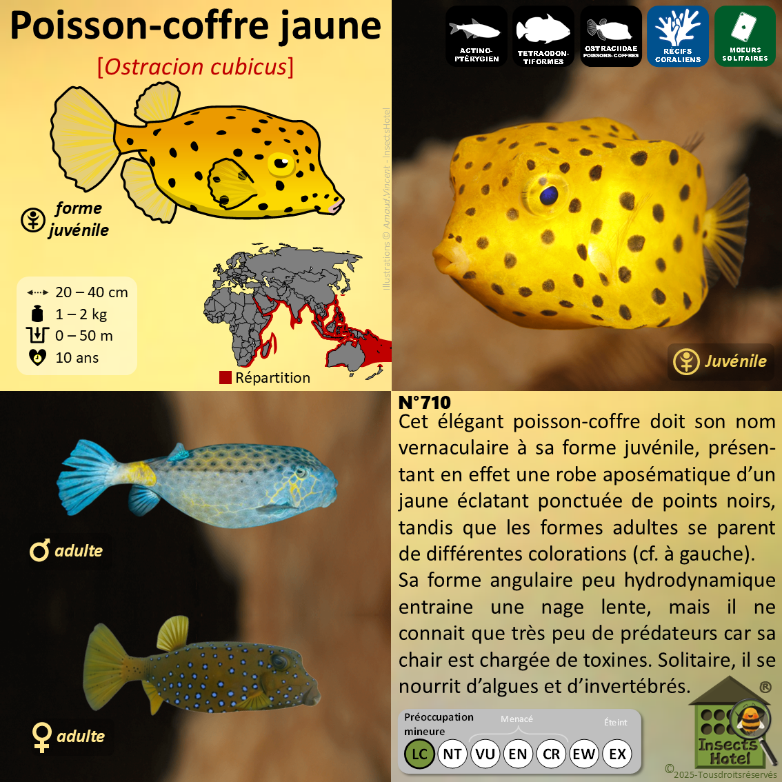 product_image_365788