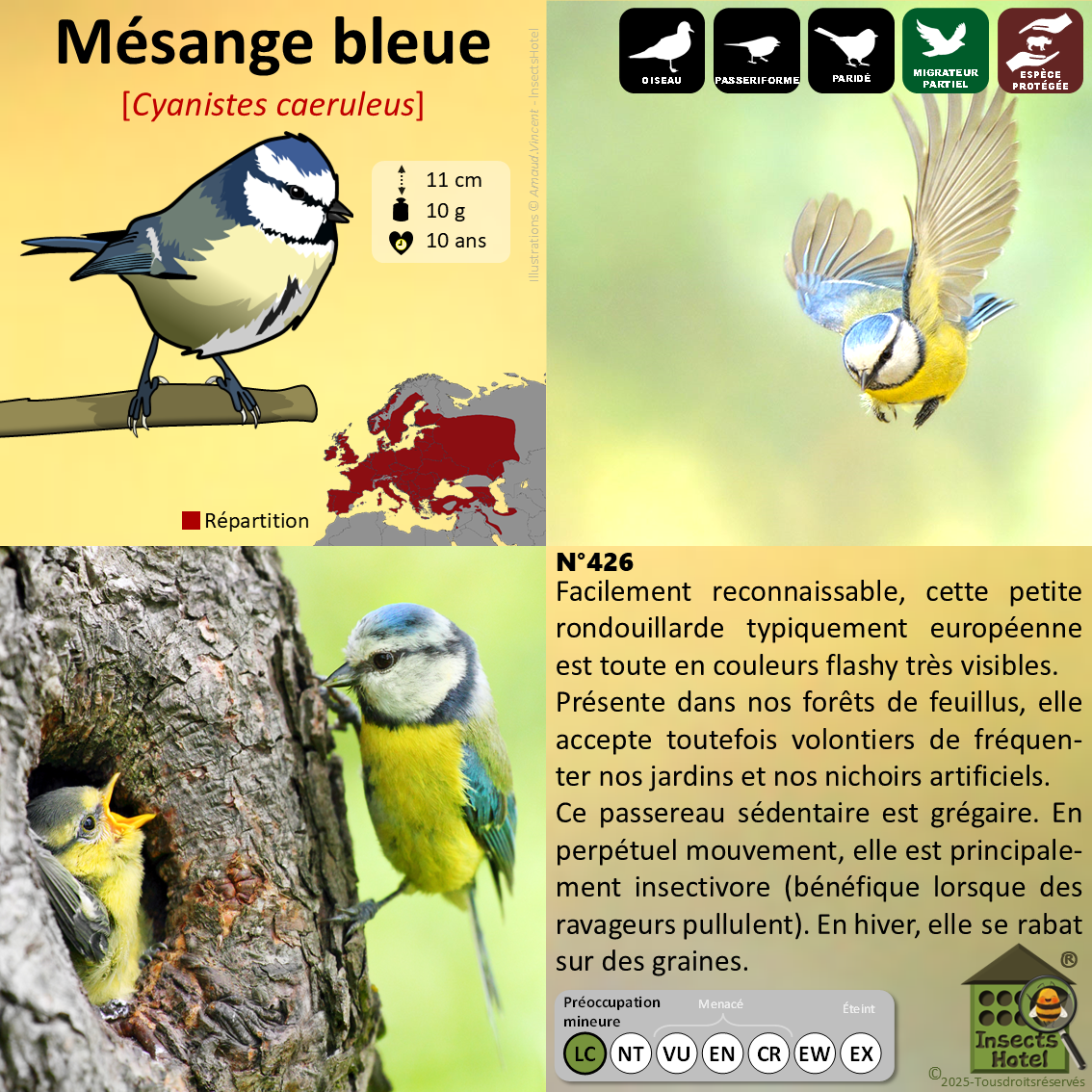 product_image_993471