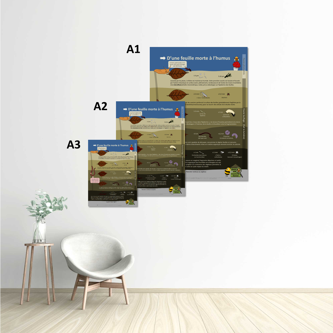 Image back Poster - D'une feuille morte à l'humus