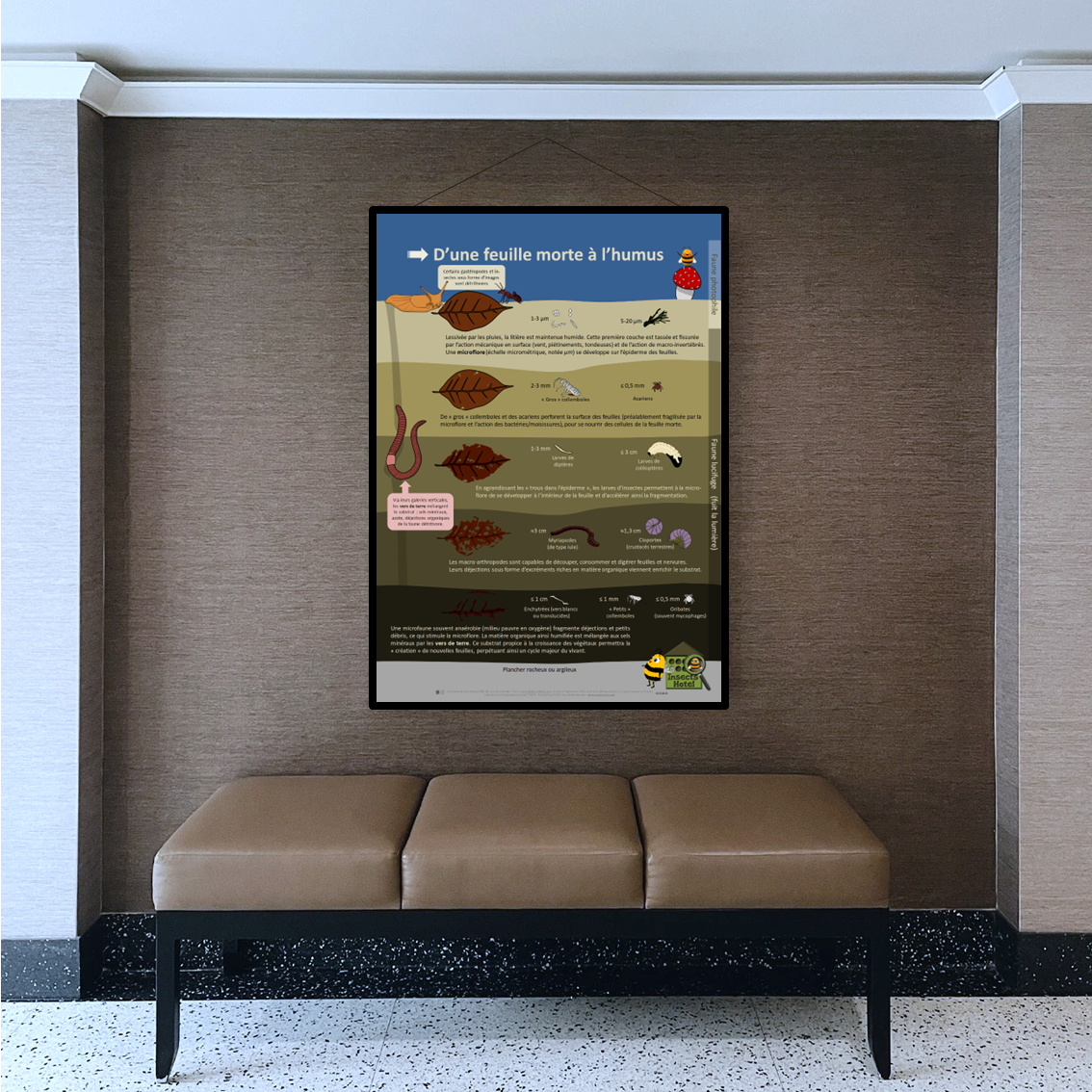 product_image_451951