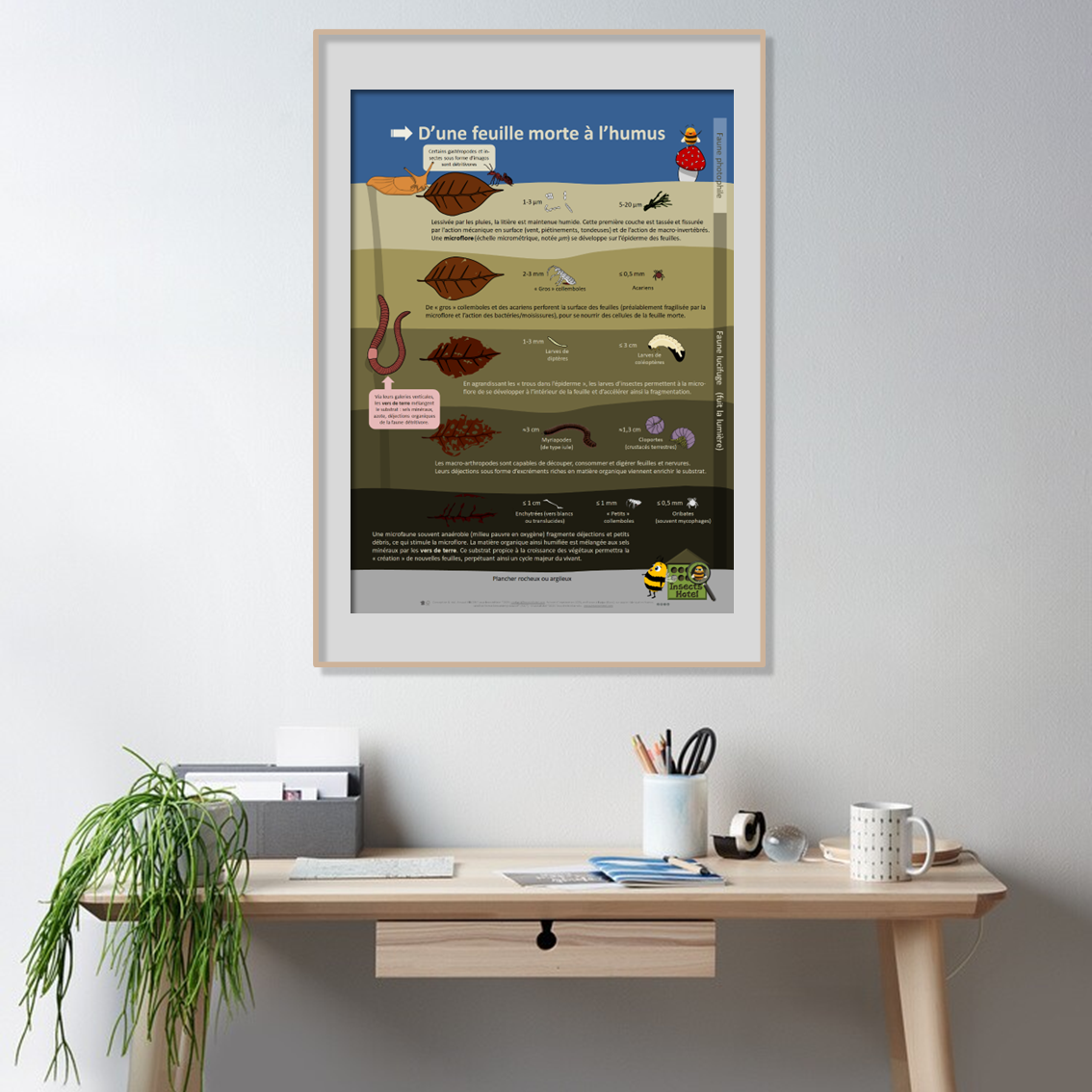 product_image_412050