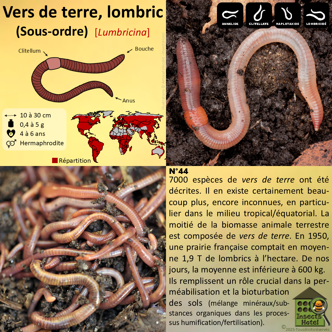 product_image_247948