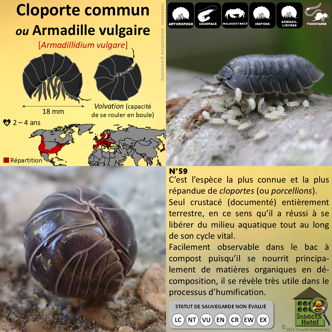 product_image_720676