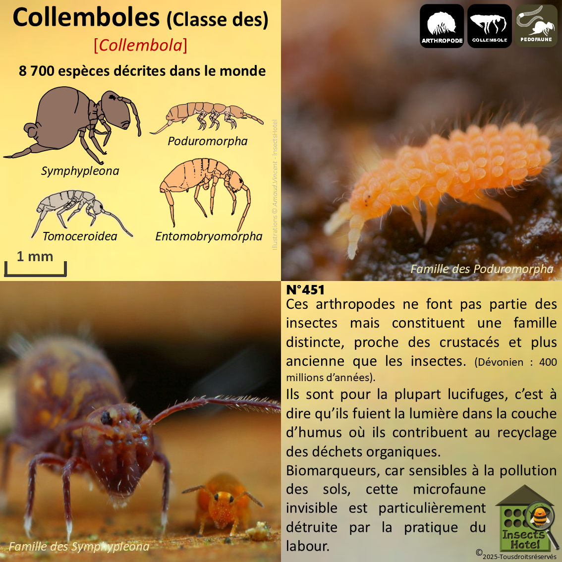 product_image_975065