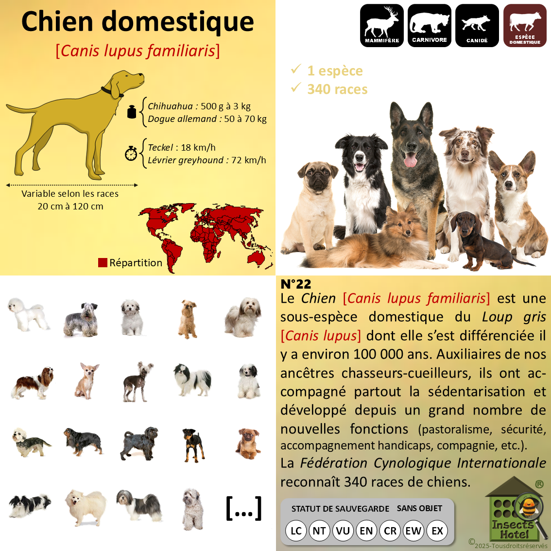 product_image_834352