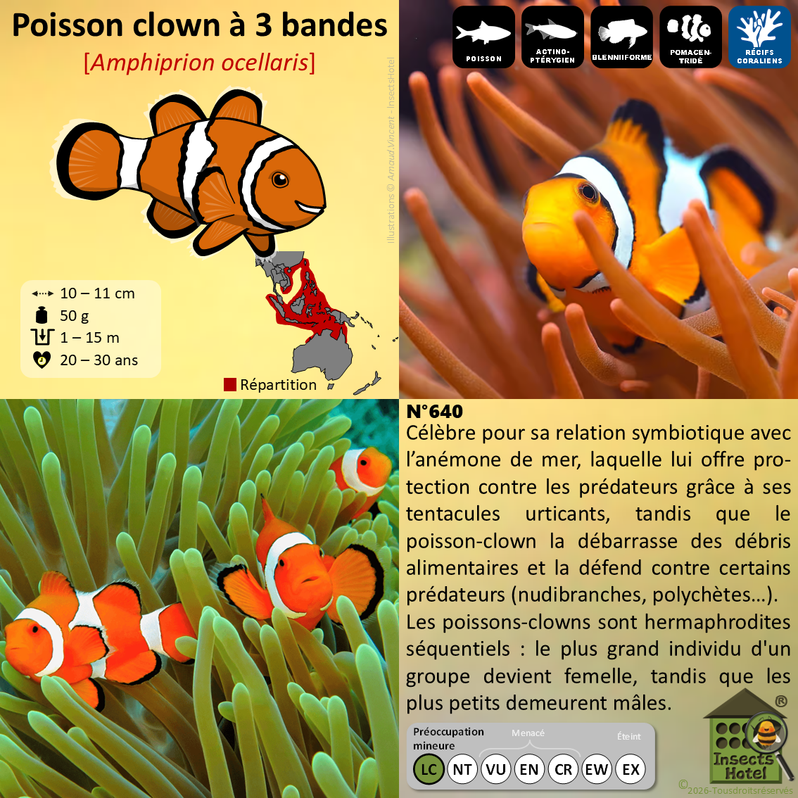 product_image_263853