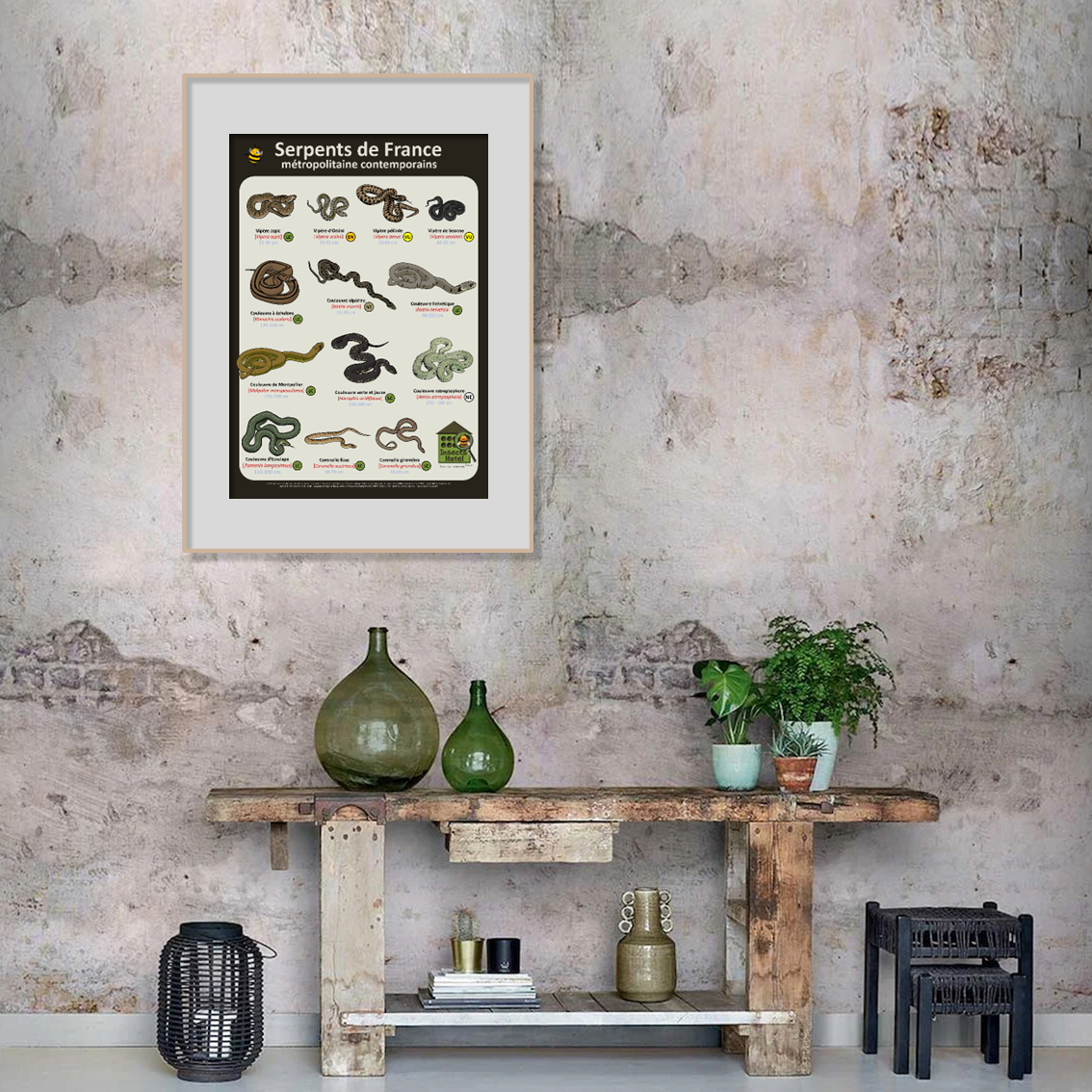 product_image_319146
