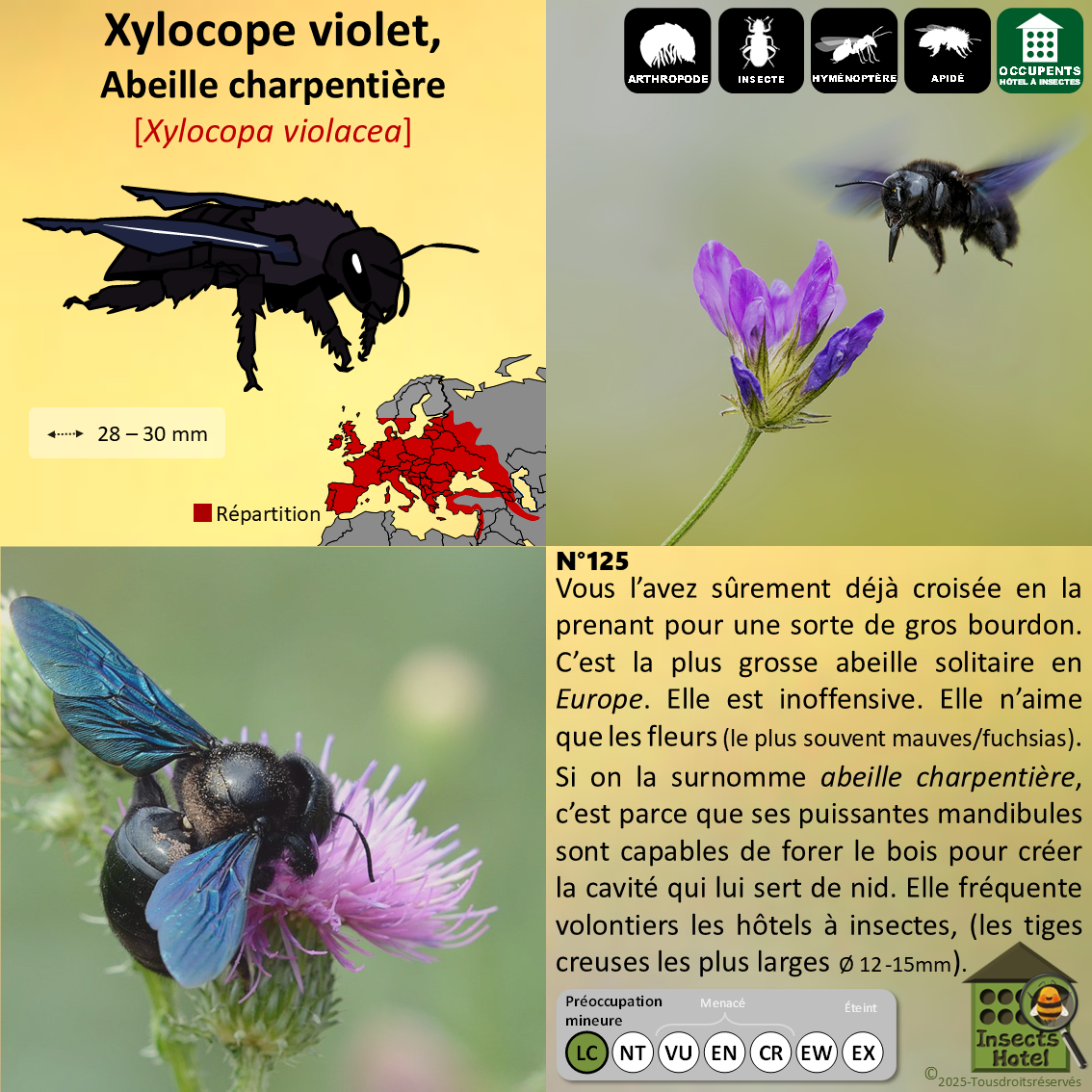 product_image_908971