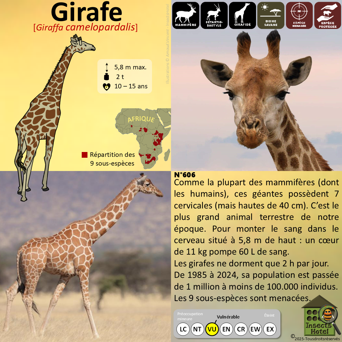 product_image_360555