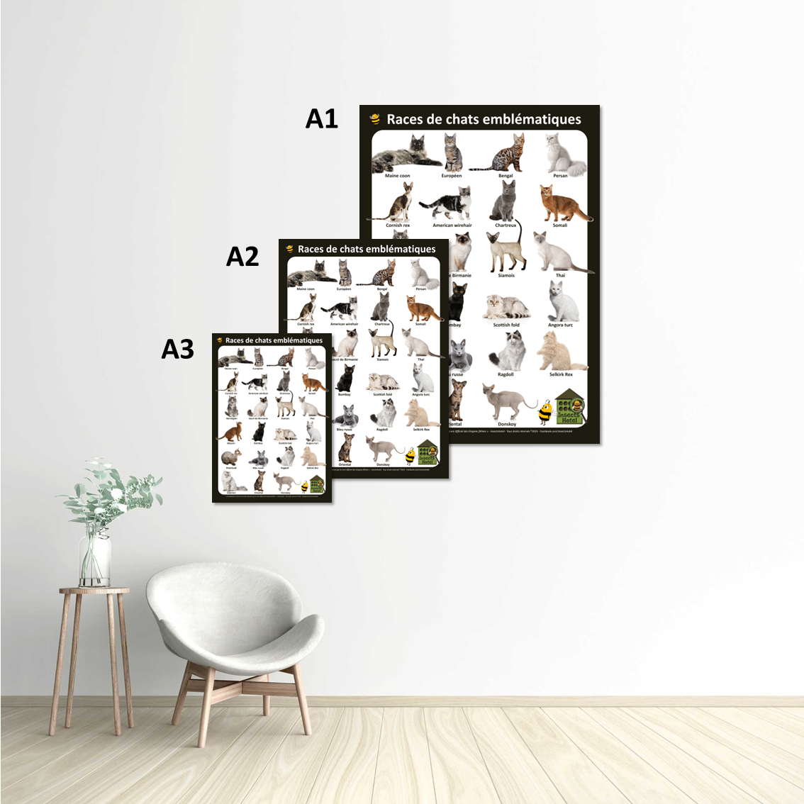 Image back Poster - Races de Chats Domestiques emblématiques