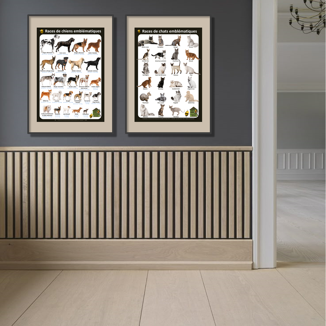 product_image_517165