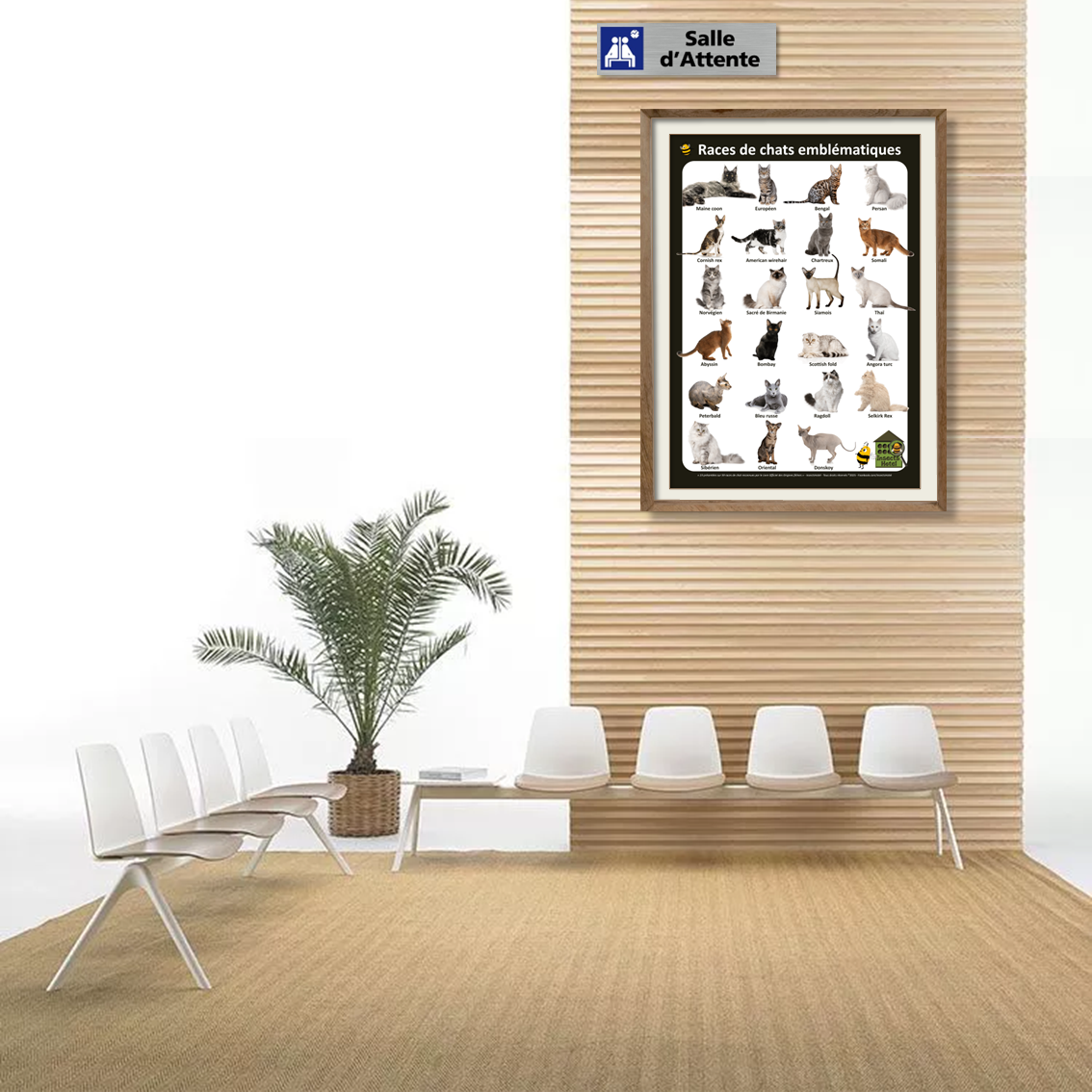 product_image_306122