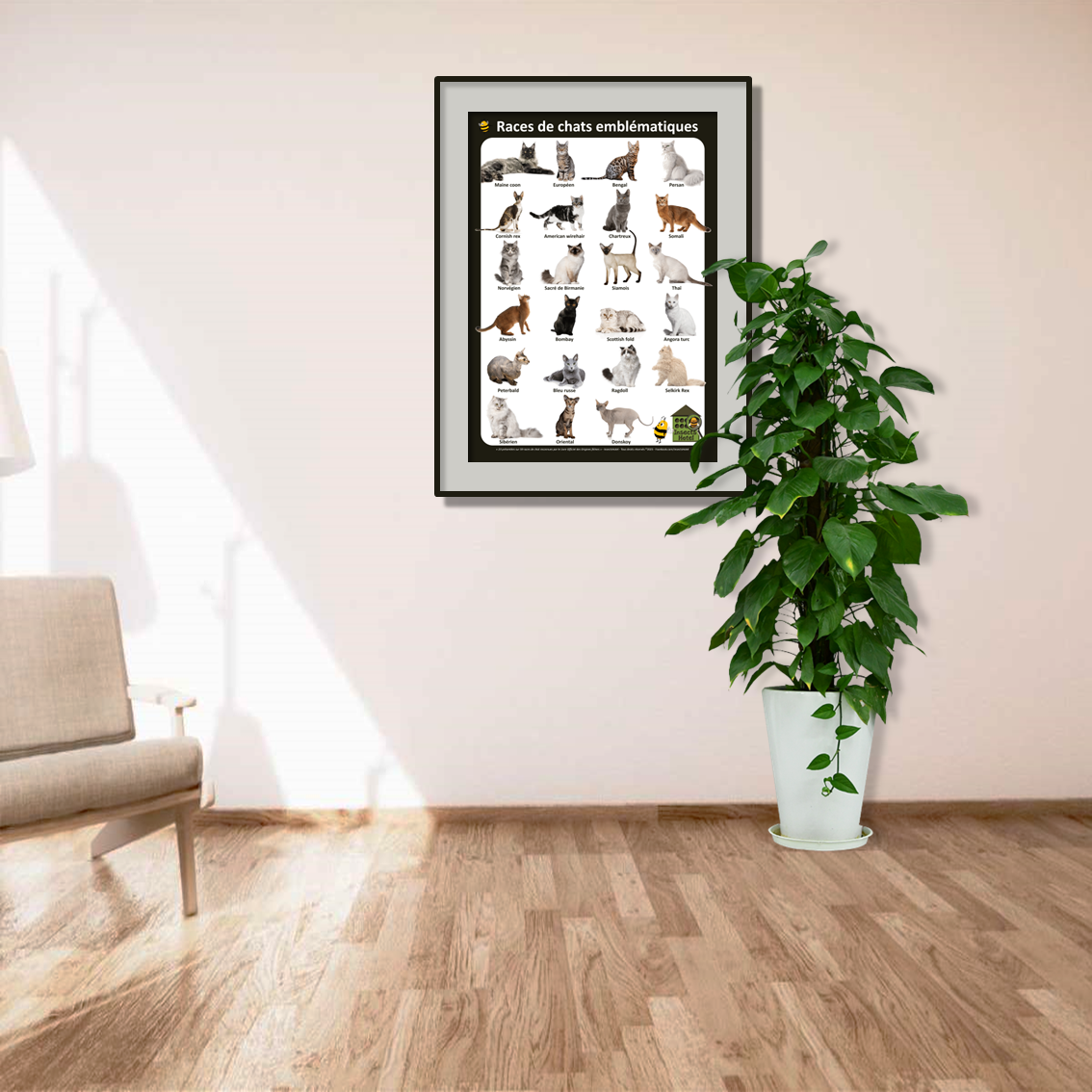 product_image_306749