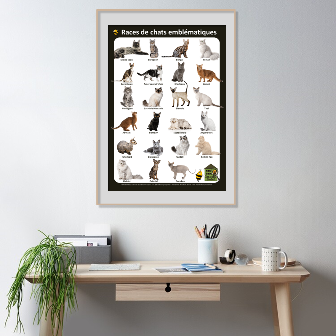 product_image_693062