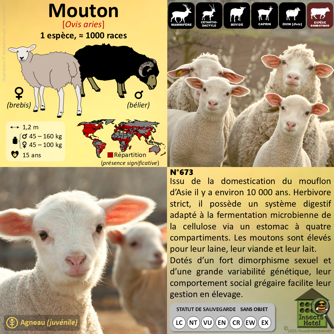 product_image_159987