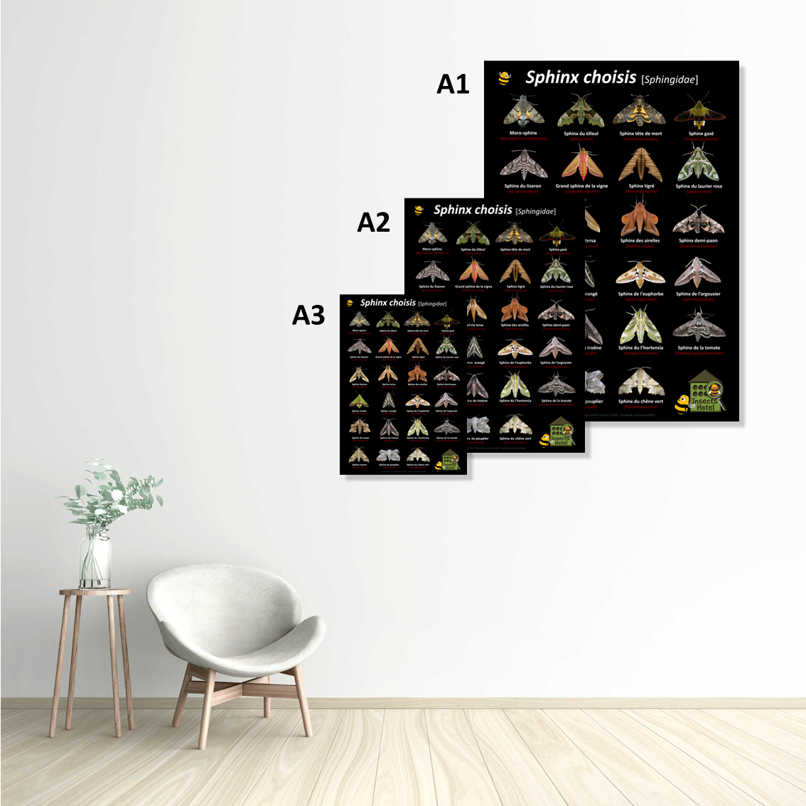 product_image_495195