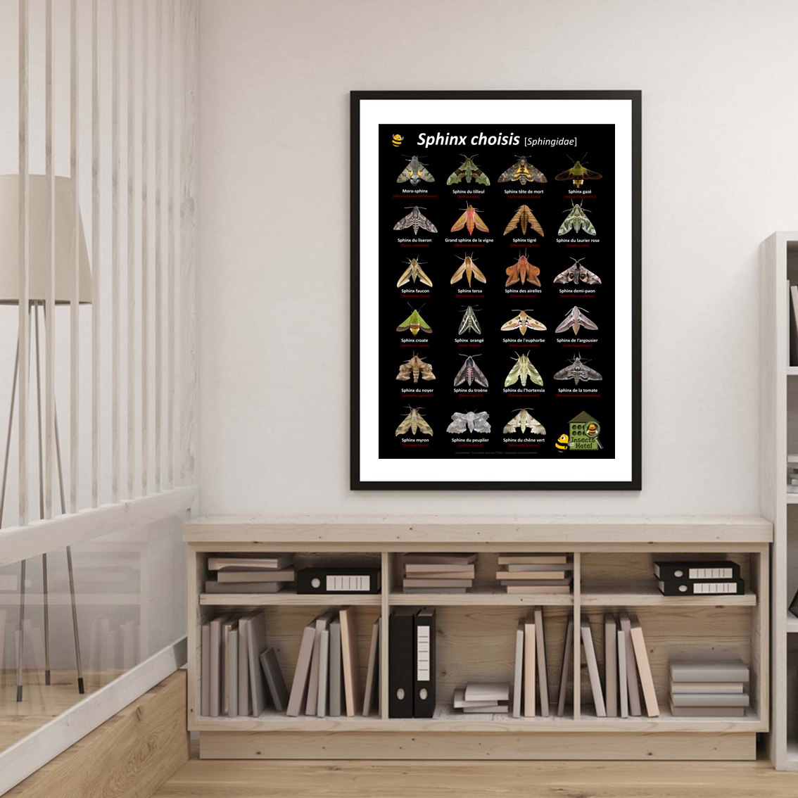 product_image_455124