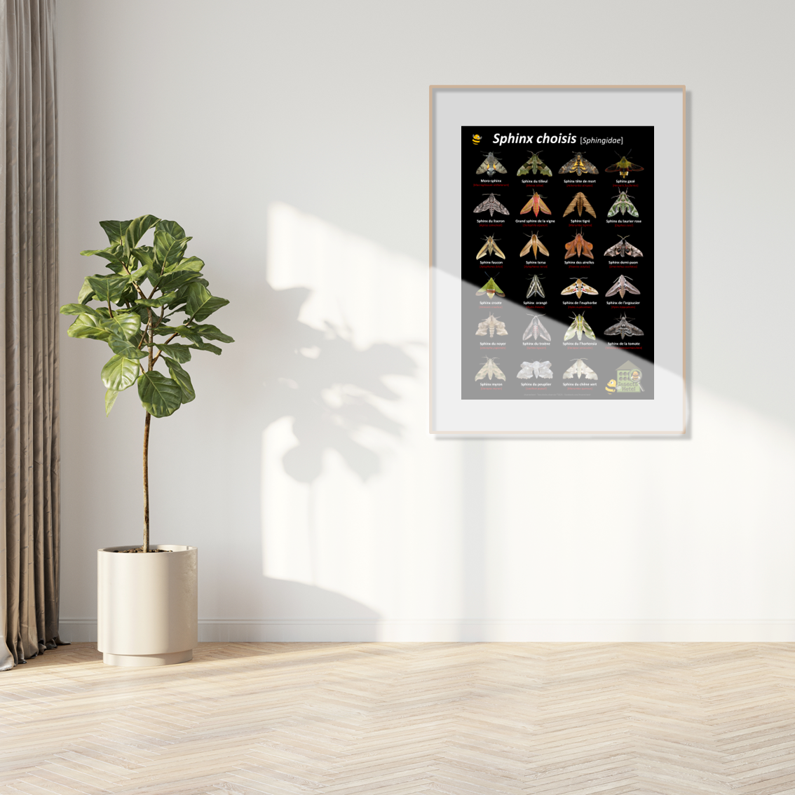 product_image_591085