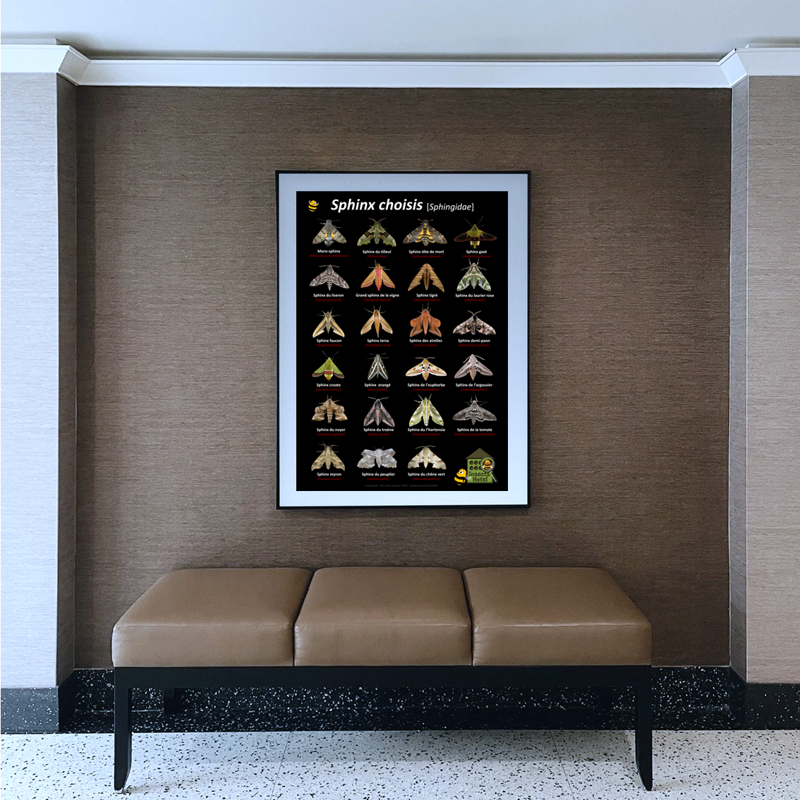 product_image_477487