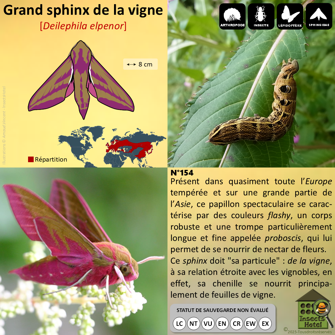 product_image_416987