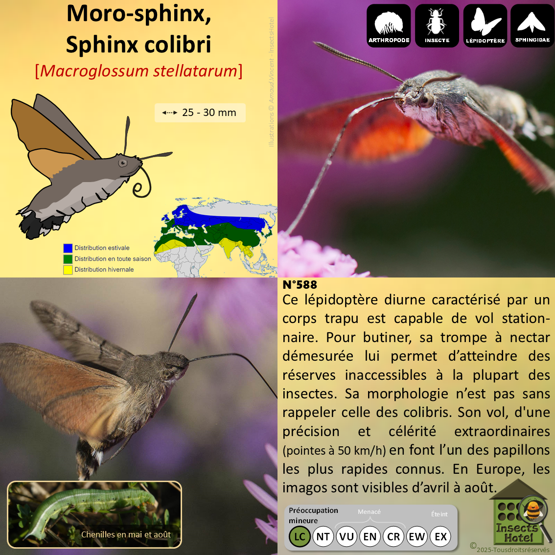 product_image_617403