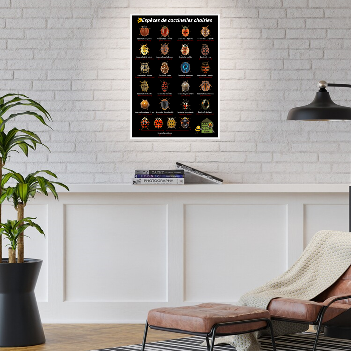 product_image_109784