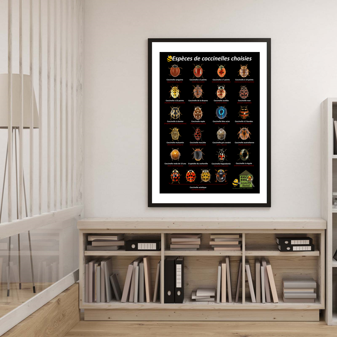 product_image_206237