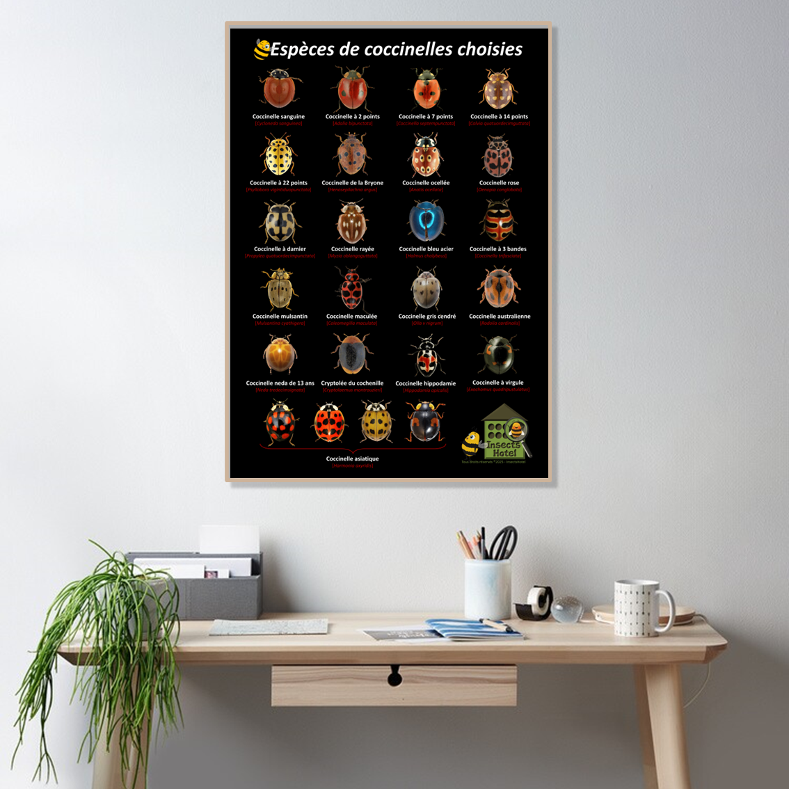 product_image_790933