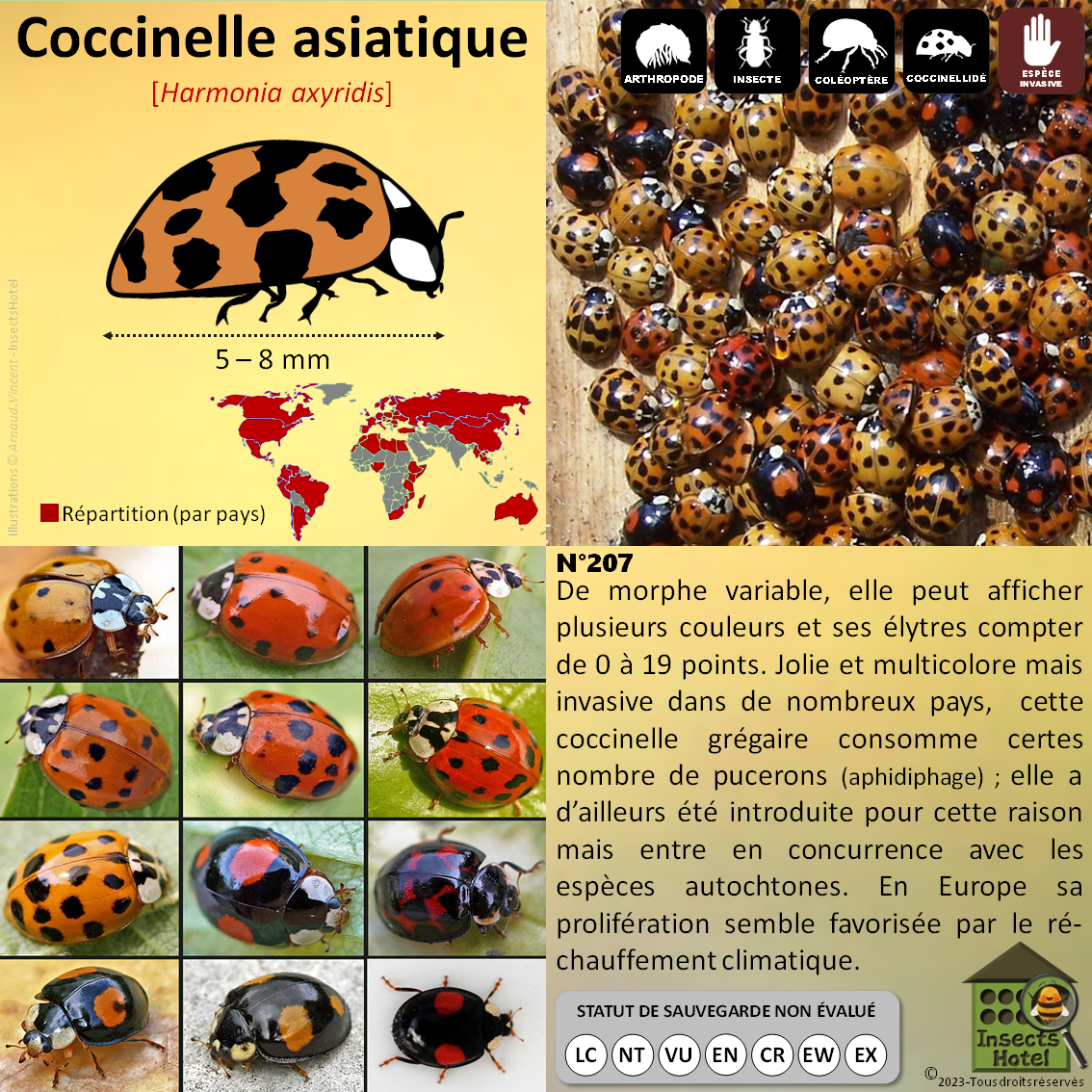 product_image_208158