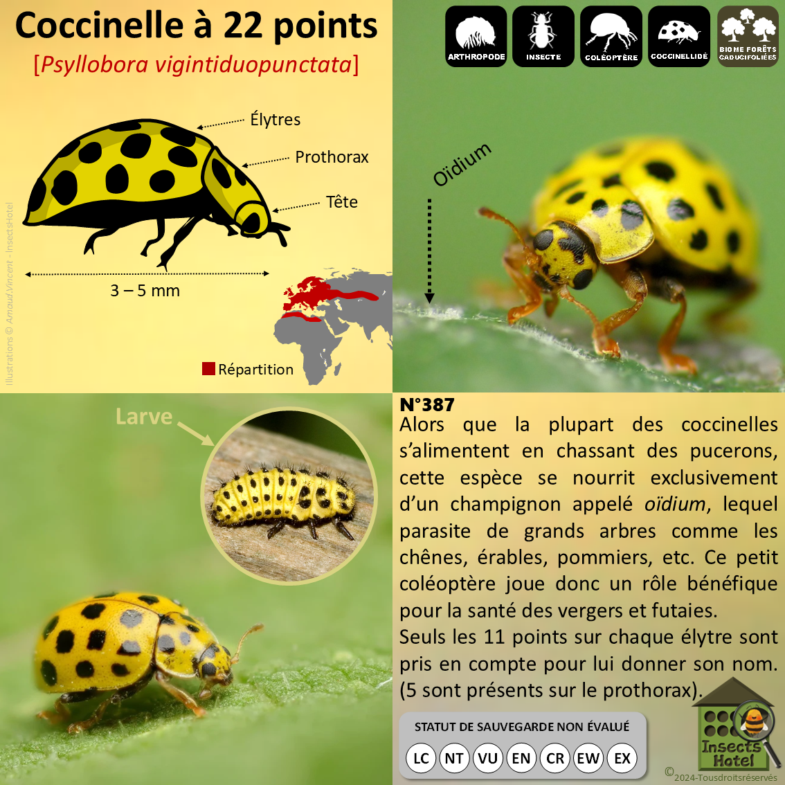 product_image_345179