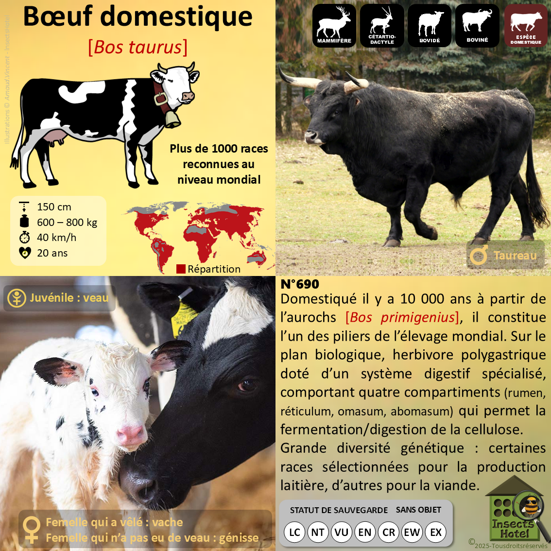 product_image_590694