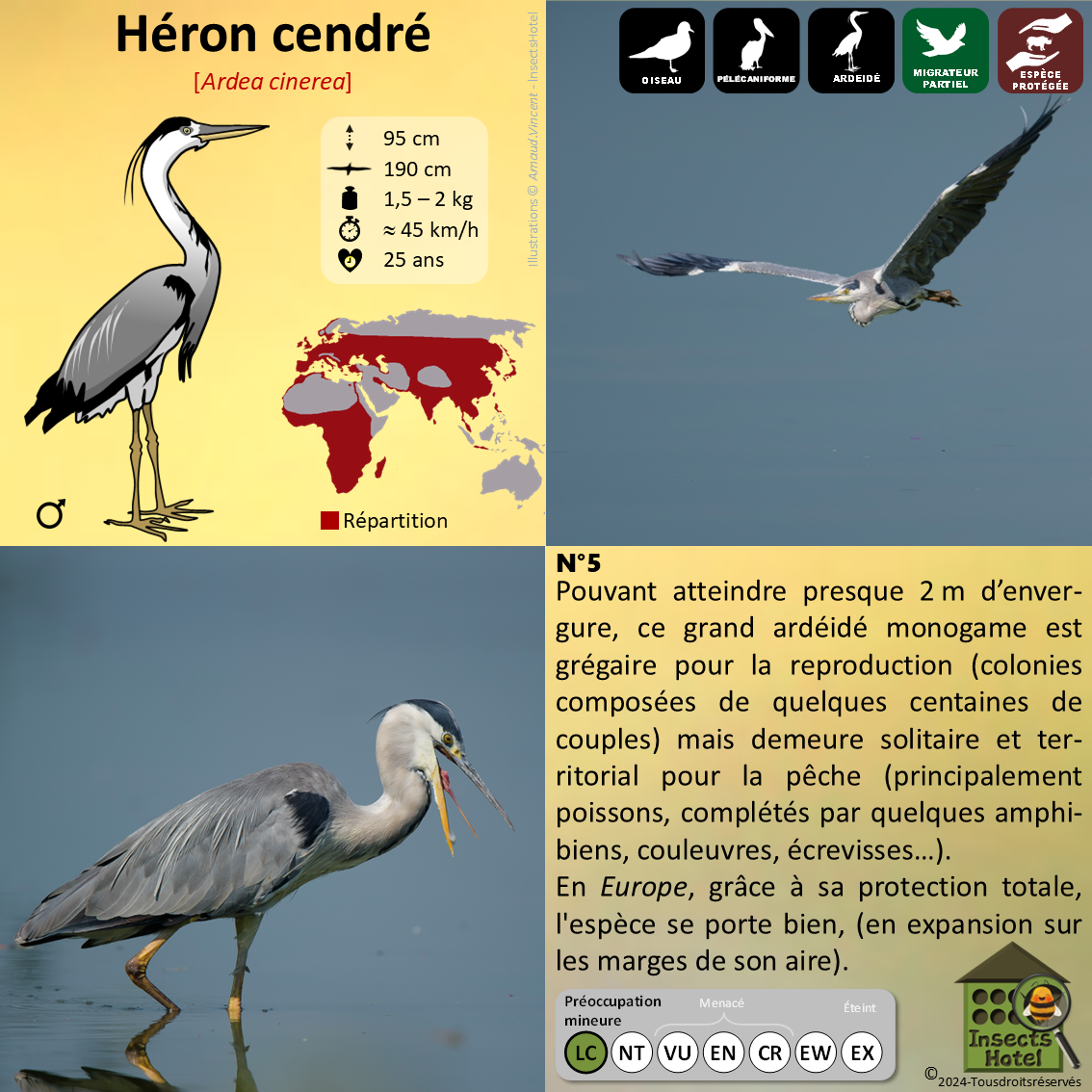 product_image_692629