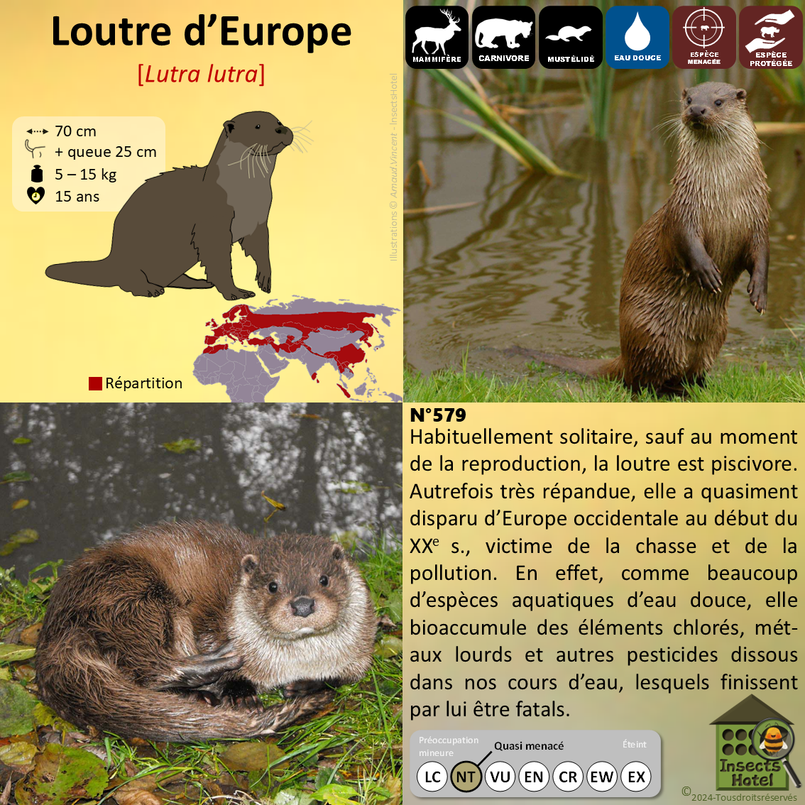 product_image_344318