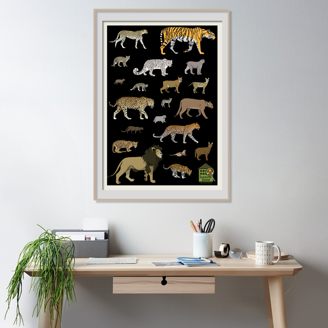 product_image_804686