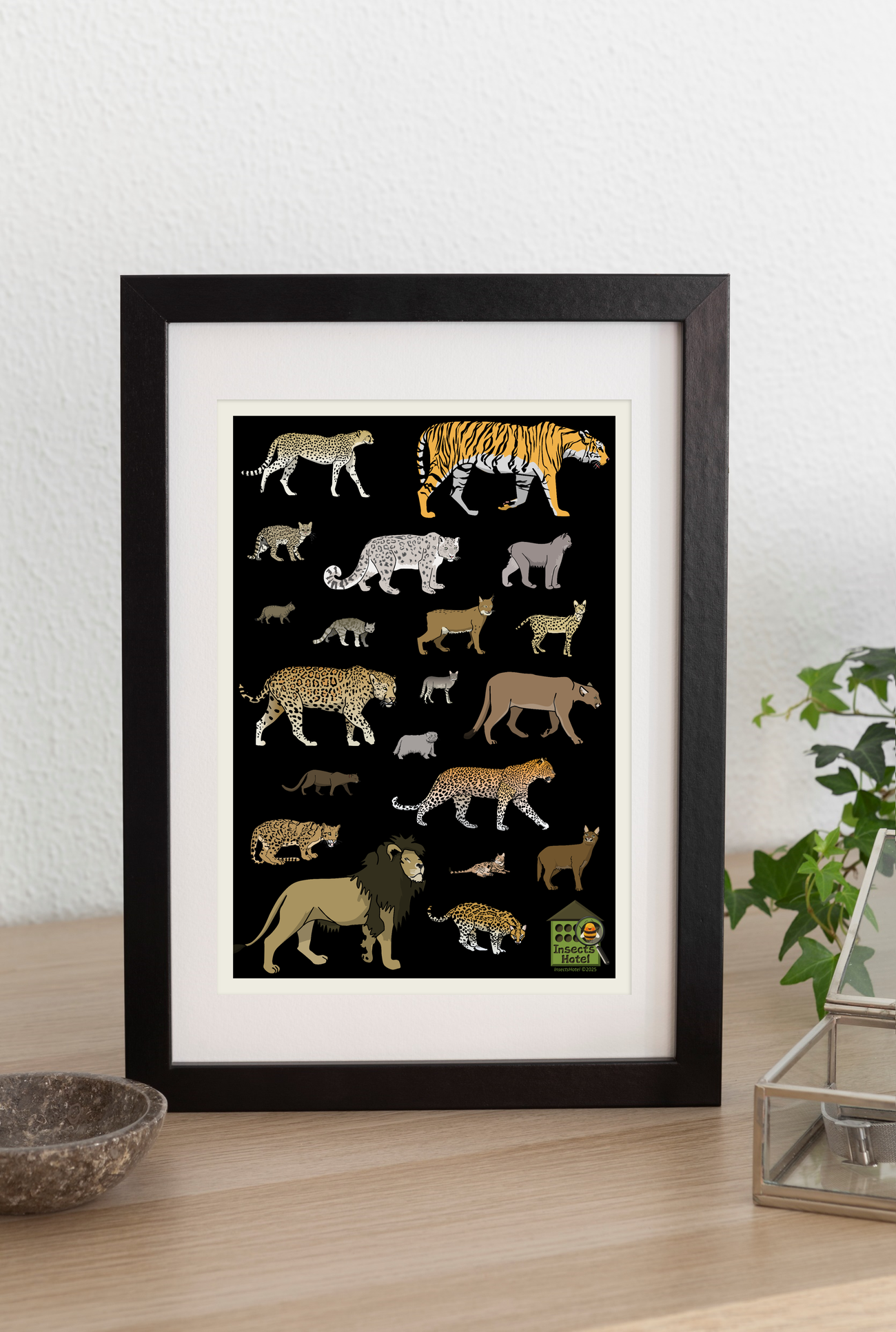 product_image_356521