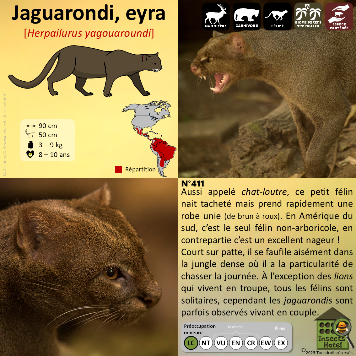 product_image_247947