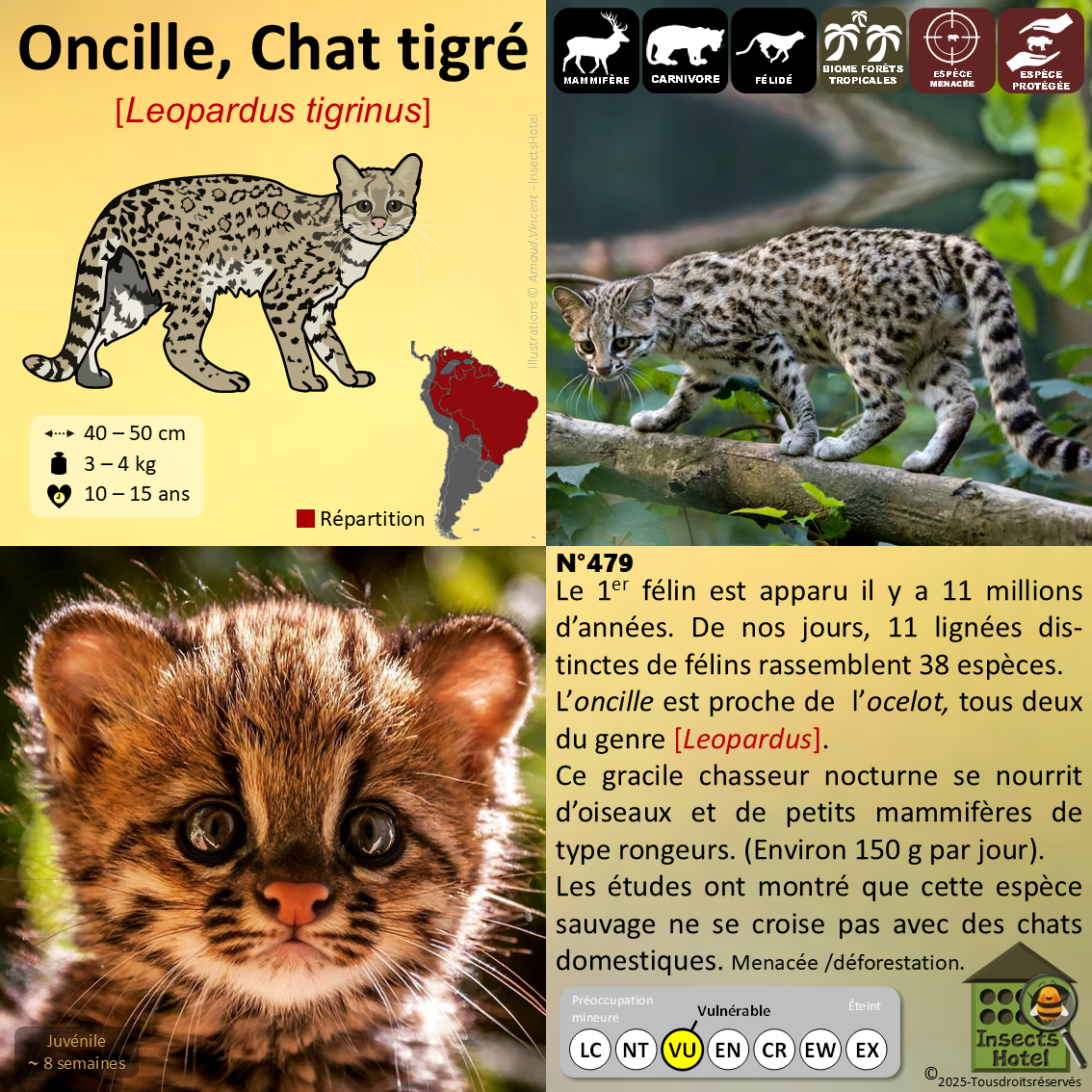 product_image_965483