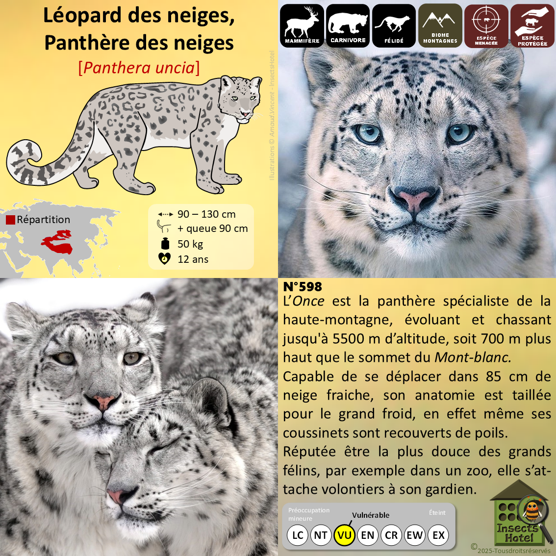 product_image_147410