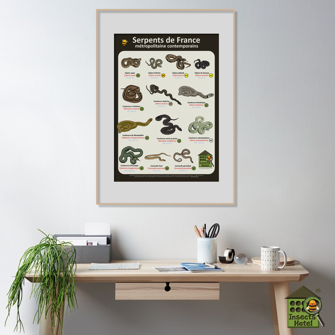 product_image_817934