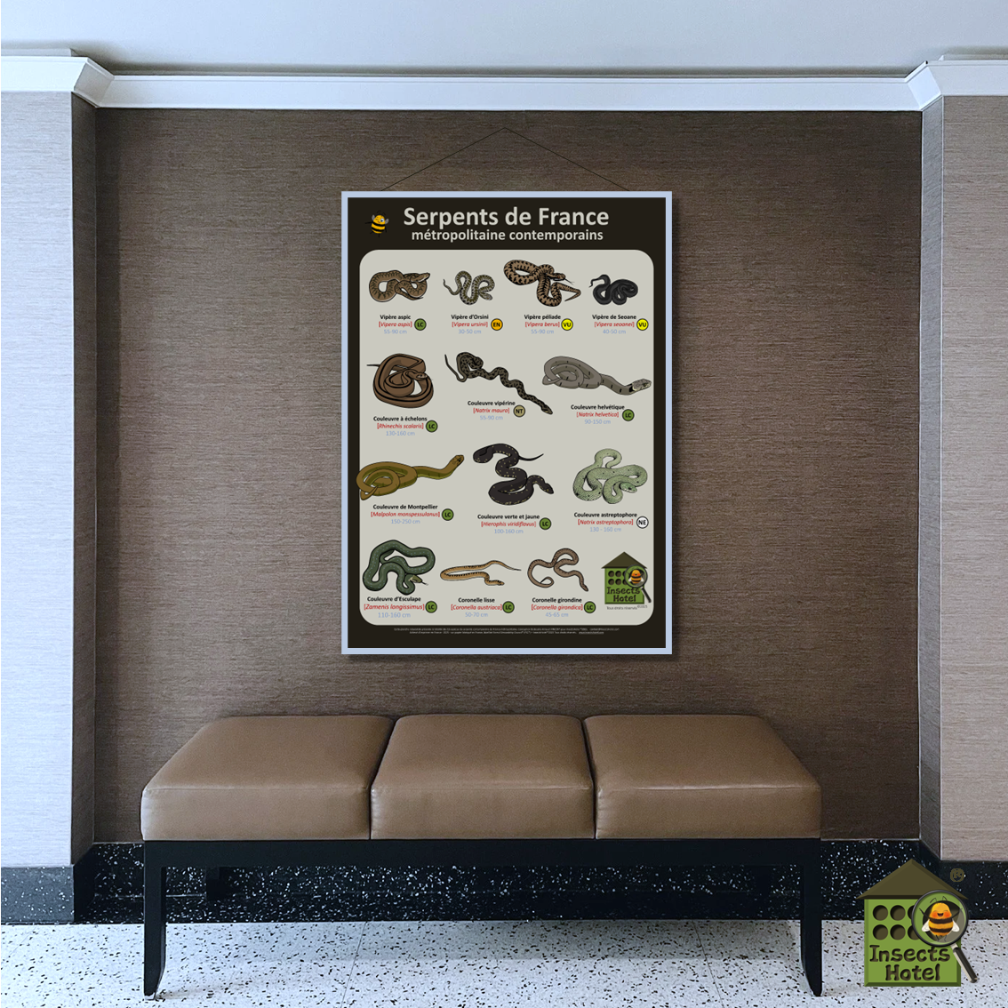 product_image_618838