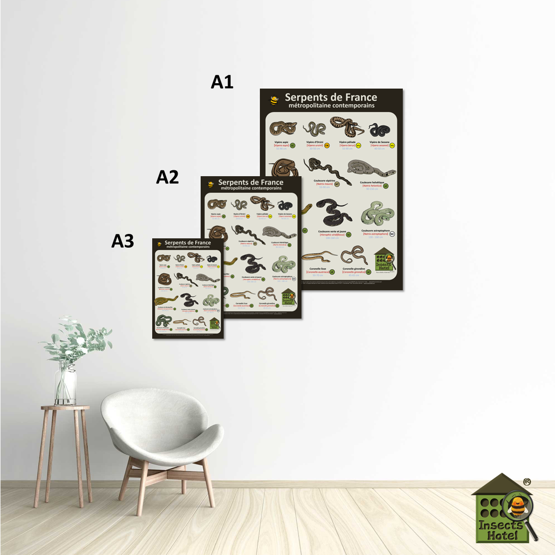 product_image_485816