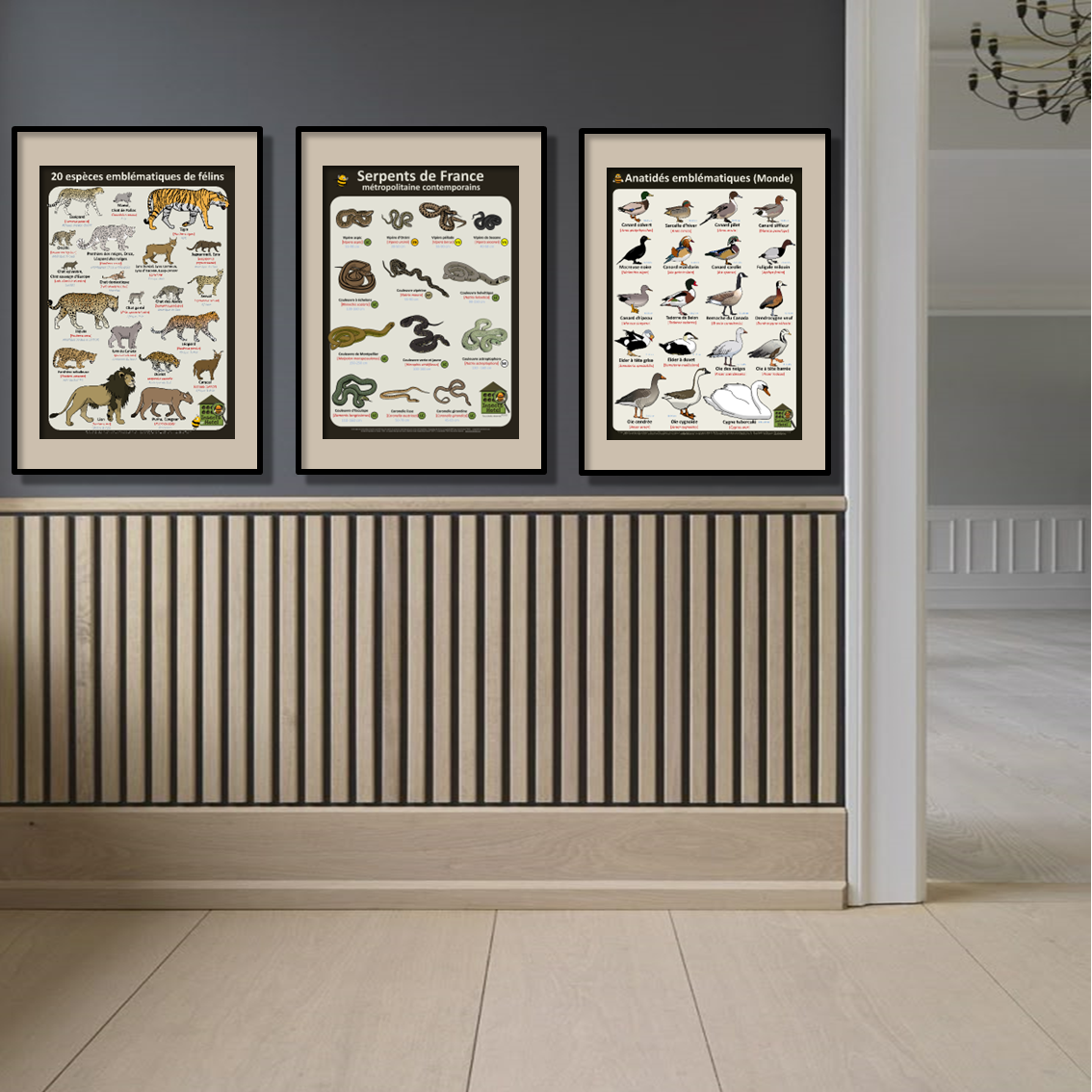 product_image_664710