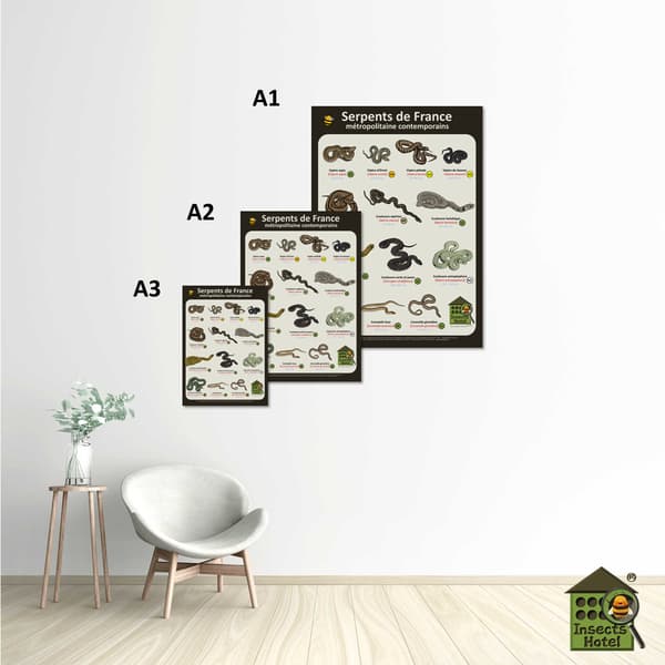 Image back Poster - Serpents de France métropolitaine