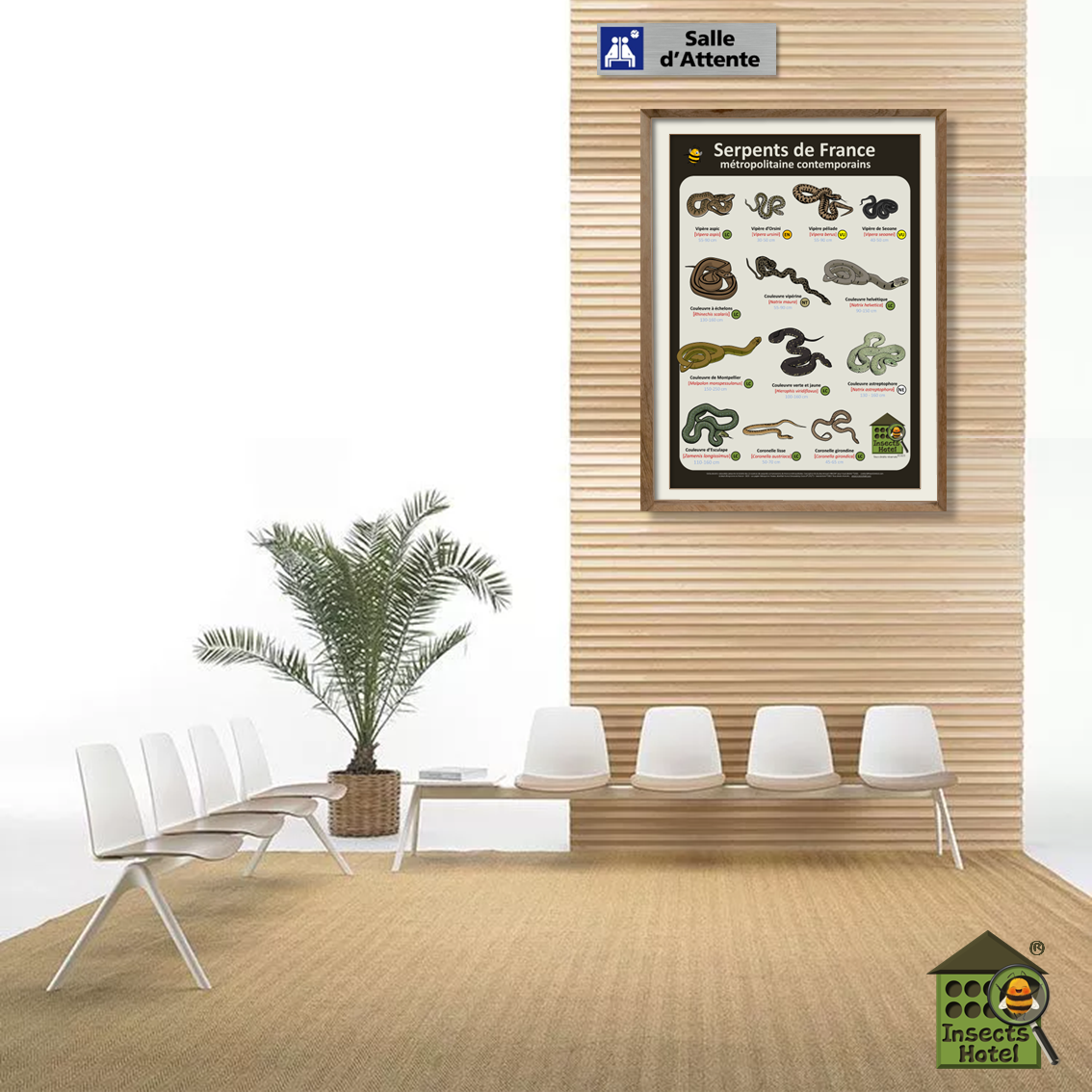 product_image_165487